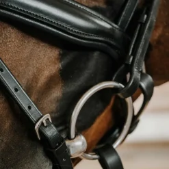 Bridons*Norton - Bridon de dressage Diams Noir