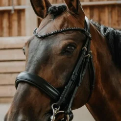 Bridons*Norton - Bridon de dressage Onyx Noir