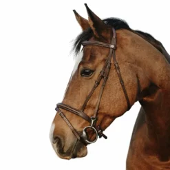 - Bridon Easy Bridons