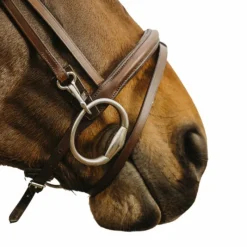 - Bridon Easy Bridons