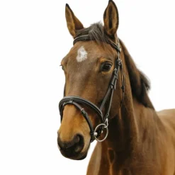 Bridons*Norton - Bridon Easy Noir