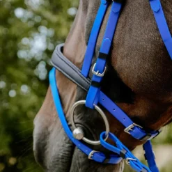 Best - Bridon endurance Pop électrique Bridons