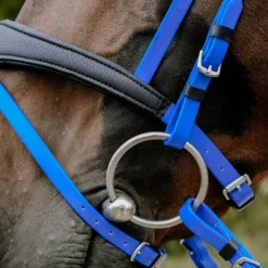 Best - Bridon endurance Pop électrique Bridons