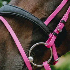 Clearance - Bridon endurance Pop Bridons