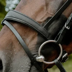 Bridons*Norton - Bridon endurance Pop Noir