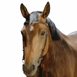 Bridons*Norton - Bridon Freedom marron Havane