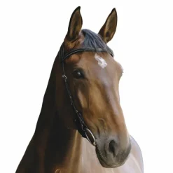 - Bridon Freedom Bridons