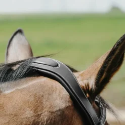 - Bridon Freedom Bridons