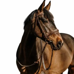 Outlet - Bridon Hunter Comfy havane Bridons