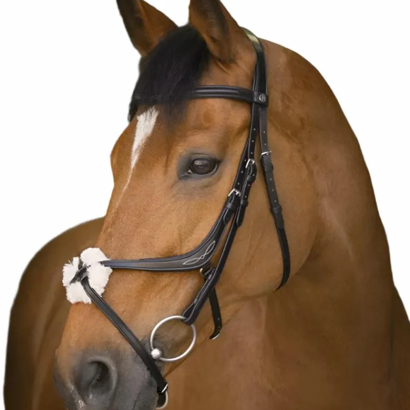Cso|Bridons*Norton - Bridon muserolle croisée Noir