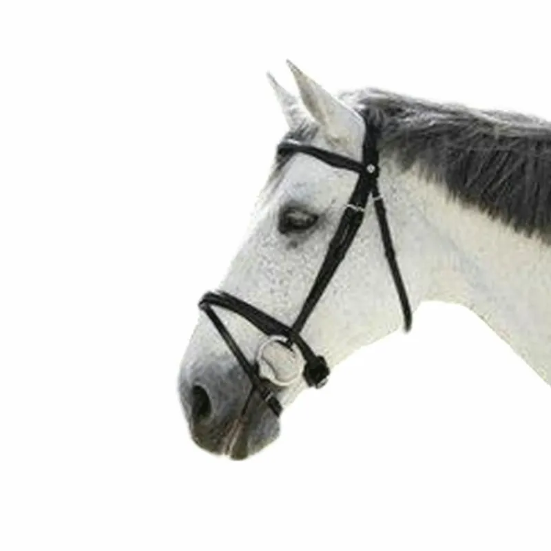 Cso|Bridons*Norton - Bridon Pro Combinée Noir