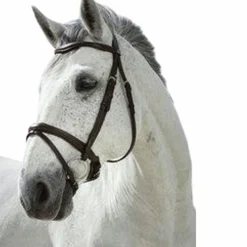 Cso|Bridons*Norton - Bridon Pro Combinée Noir