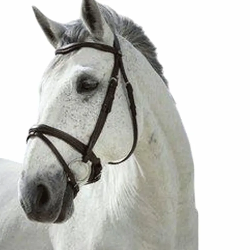 Cso|Bridons*Norton - Bridon Pro Combinée Noir