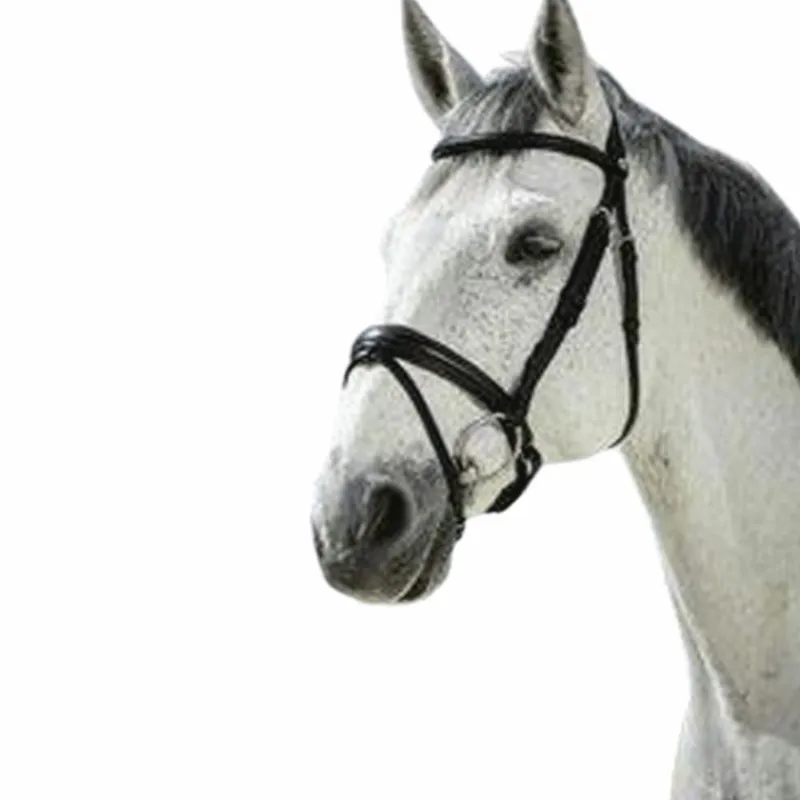 Hot - Bridon Pro Soft Cso|Bridons