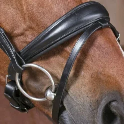 Sale - Bridon Pro Strass Cso|Bridons