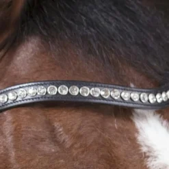 Sale - Bridon Pro Strass Cso|Bridons