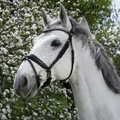 Sale - Bridon Pro Strass Cso|Bridons