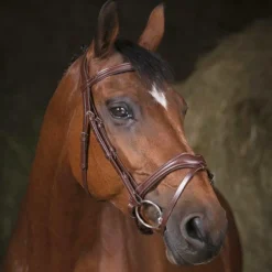 Clearance - Bridon Pro Vague Cso|Bridons