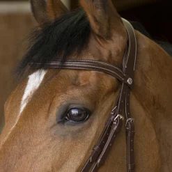 - Bridon rock Cso|Bridons