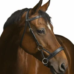 Sale - Bridon Side pull "PRO" confort noir Sidepull