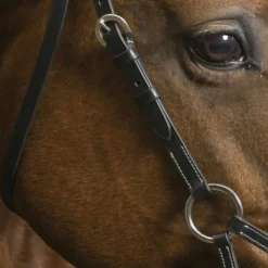 Sale - Bridon Side pull 