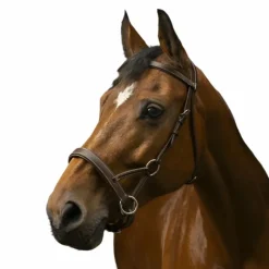 Sidepull*Norton - Bridon Side pull "PRO" confort havane