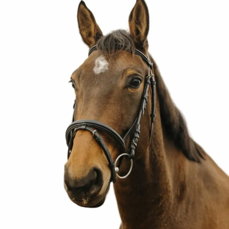 Discount - Bridon Square Bridons Poneys|Bridons