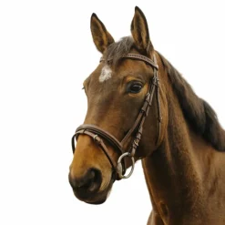 Bridons Poneys|Bridons*Norton - Bridon Strass V Havane