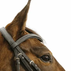 Bridons Poneys|Bridons*Norton - Bridon Strass V Noir