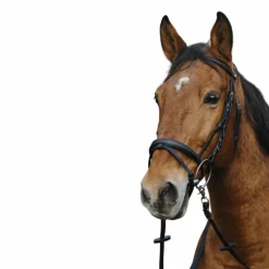 Clearance - Bridon Training Bridons Poneys|Bridons