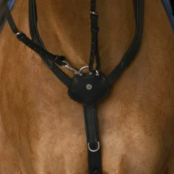 Colliers De Chasse*Norton - Collier de chasse pro Confort Noir