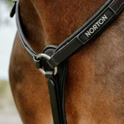 Colliers De Chasse*Norton - Collier de chasse endurance Pop Noir