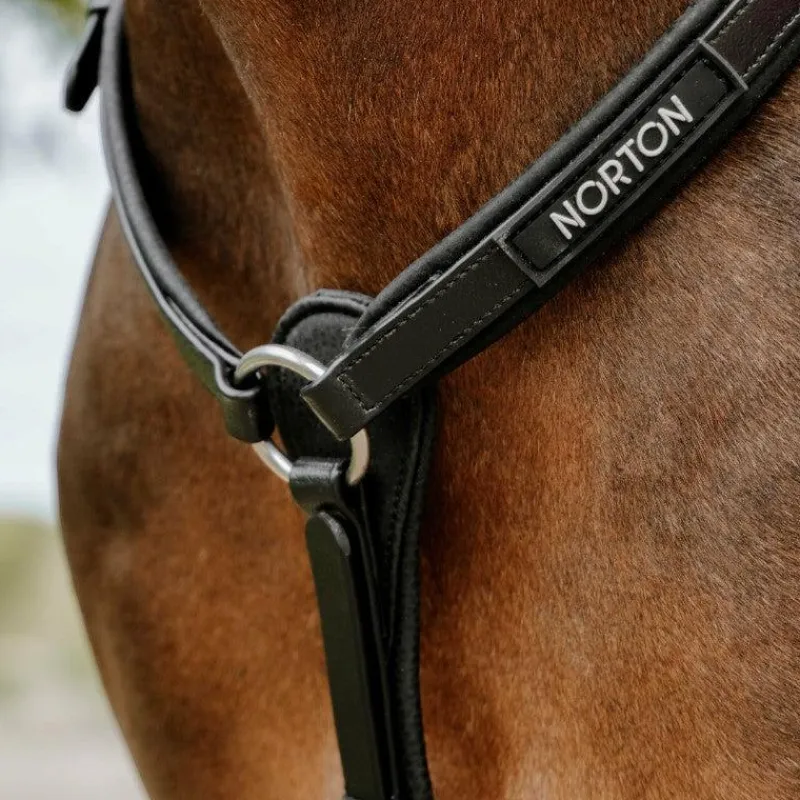 Colliers De Chasse*Norton - Collier de chasse endurance Pop Noir