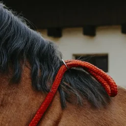 Cordelettes*Norton - Cordelette/ Collier éthologique roi Bleu