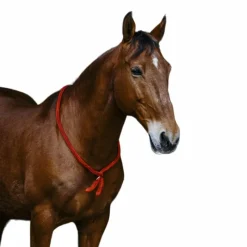 Cordelettes*Norton - Cordelette/ Collier éthologique roi Bleu