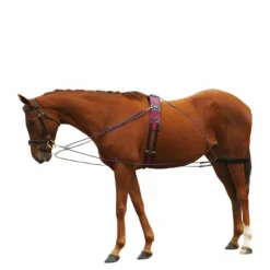 Pessoa*Norton - Enrênement à poulies Noir