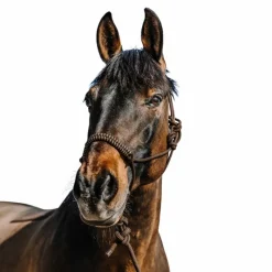 New - Ensemble licol éthlogique et longe Deco / beige Ensembles Licols Et Longes