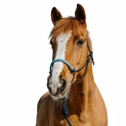 Ensembles Licols Et Longes*Norton - Ensemble licol éthologique et longe Suède / bleu Marine