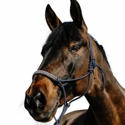 Ensembles Licols Et Longes*Norton - Ensemble licol éthlogique et longe Deco / beige Marine