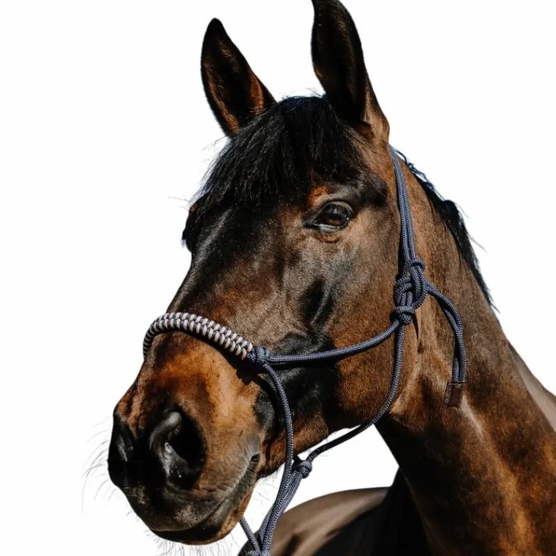 Ensembles Licols Et Longes*Norton - Ensemble licol éthlogique et longe Deco / beige Marine