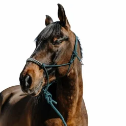 Ensembles Licols Et Longes*Norton - Ensemble licol éthlogique et longe Deco / beige Vert