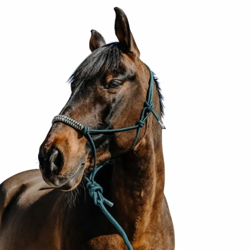 Ensembles Licols Et Longes*Norton - Ensemble licol éthlogique et longe Deco / beige Vert