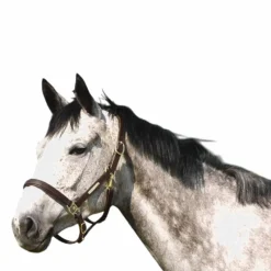 Élevage|Licols En Cuir*Norton - Licol à double réglage havane