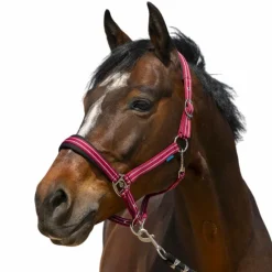 Best - Licol 4 Lines Licols Poneys