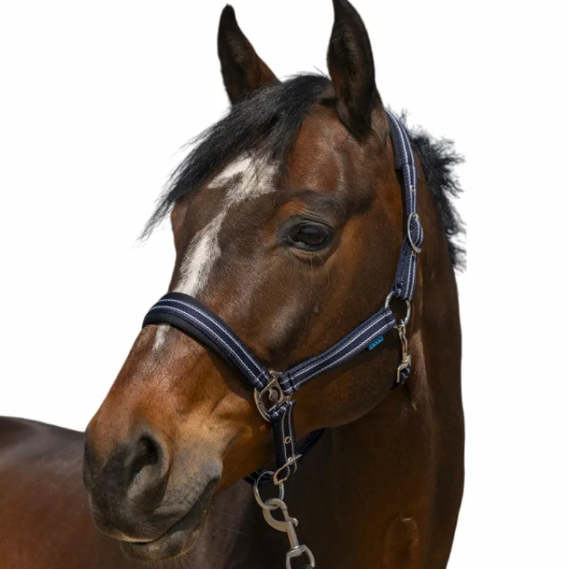 Licols Poneys*Norton - Licol 4 Lines Marine