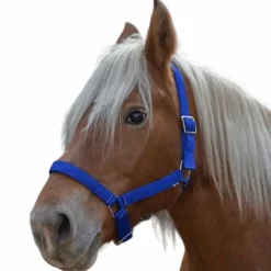 Licols En Nylon*Norton - Licol cheval de trait "PRO" bleu roi