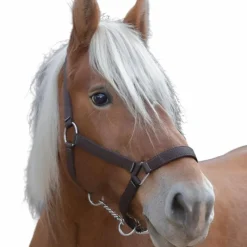 Outlet - Licol cheval de trait "PRO" brun Licols En Nylon