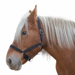 Sale - Licol cheval de trait "PRO" noir Licols En Nylon