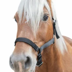 Licols En Nylon*Norton - Licol cheval de trait noir