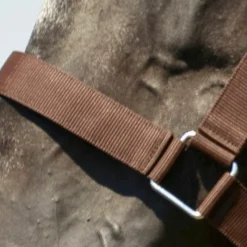 Licols En Nylon*Norton - Licol cheval de trait brun